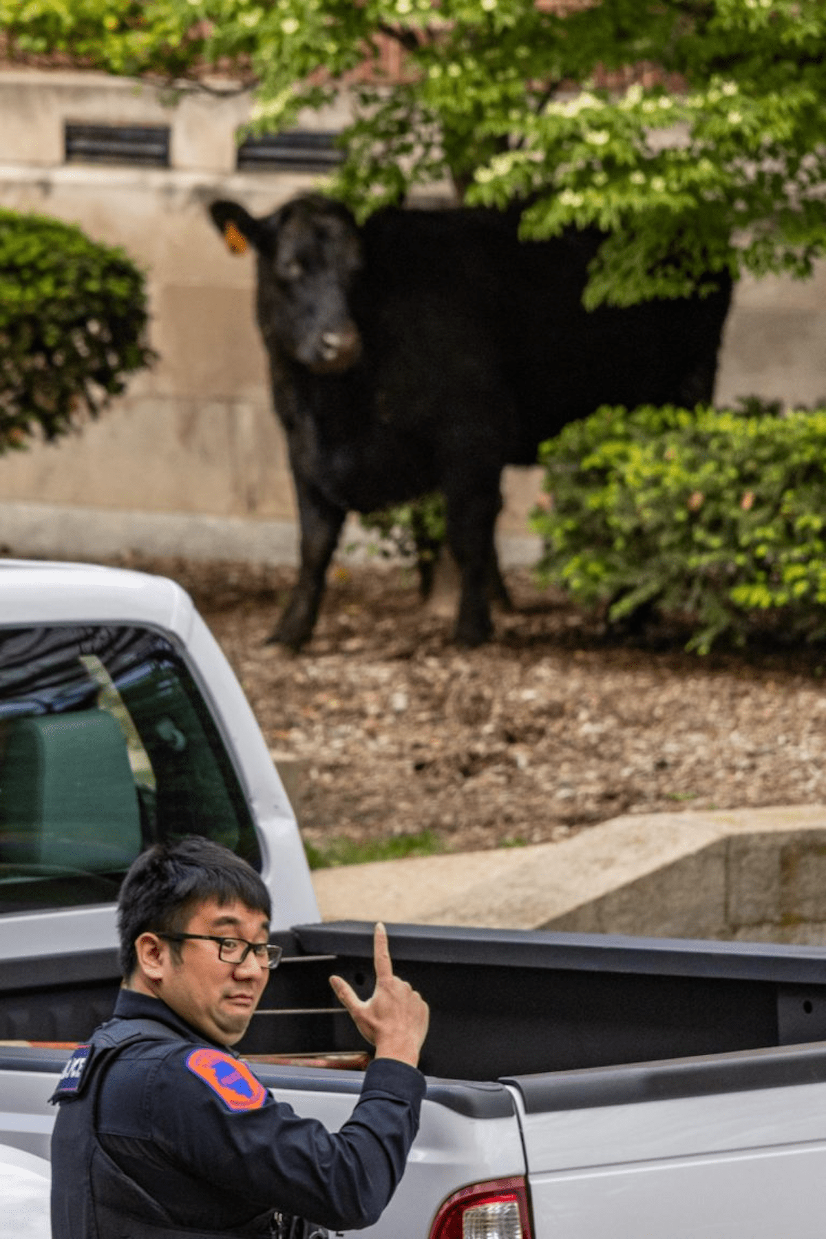 Best of Student Media: April 25-May&nbsp;1